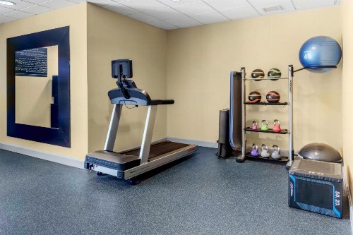 Hilton Garden Inn Sarasota-Bradenton Airport - image 6