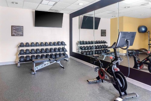 Hilton Garden Inn Sarasota-Bradenton Airport - image 7