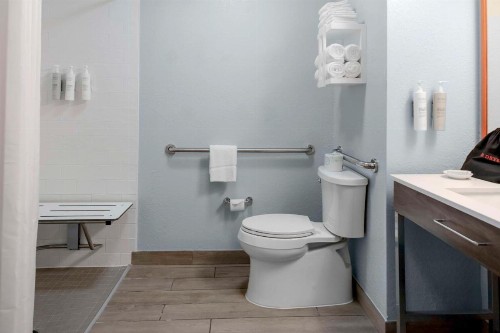 Hampton Inn Sarasota I-75 Bee Ridge - image 6