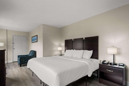 Quality Inn Sarasota I-75 - image 14