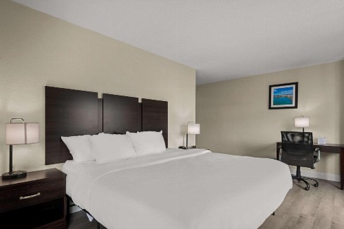Quality Inn Sarasota I-75 - image 19