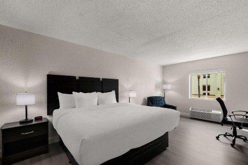 Quality Inn Sarasota I-75 - image 20