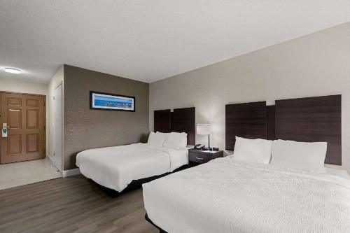 Quality Inn Sarasota I-75 - image 3