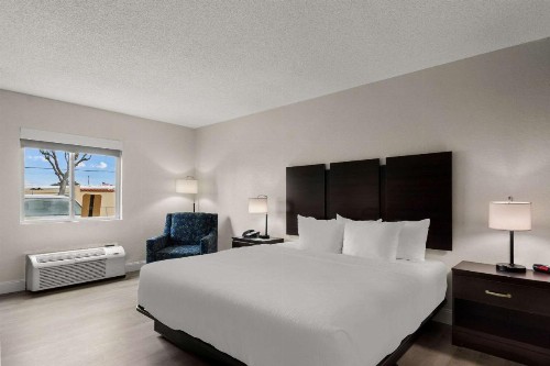 Quality Inn Sarasota I-75 - image 34
