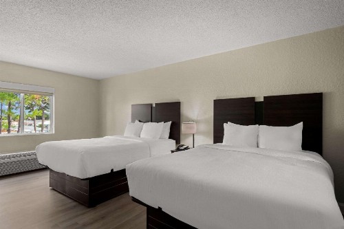 Quality Inn Sarasota I-75 - image 6