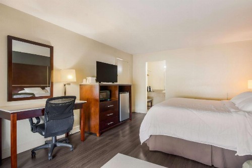SureStay Hotel by Best Western Sarasota North - image 18