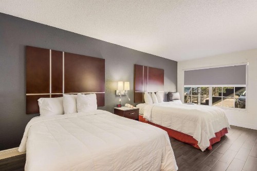 SureStay Hotel by Best Western Sarasota North - image 19