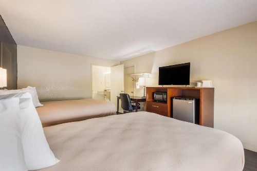 SureStay Hotel by Best Western Sarasota North - image 2