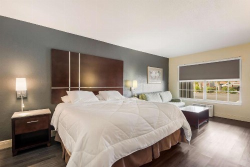 SureStay Hotel by Best Western Sarasota North - image 23