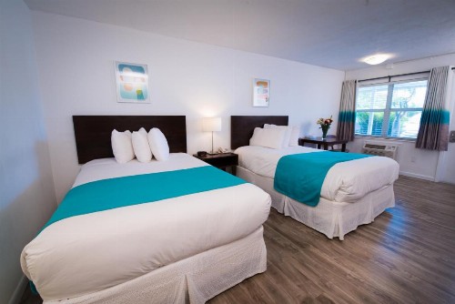 Regency Inn & Suites Sarasota - image 10