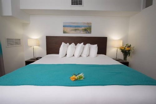 Regency Inn & Suites Sarasota - image 11