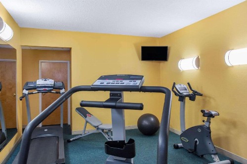 La Quinta by Wyndham Sarasota Downtown - image 16