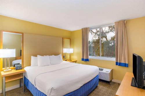 La Quinta by Wyndham Sarasota Downtown - image 8