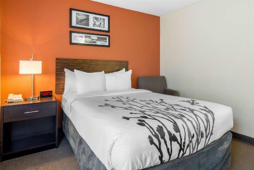 Sleep Inn Sarasota North - image 20