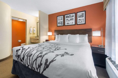 Sleep Inn Sarasota North - image 22