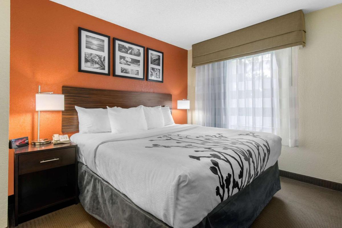 Sleep Inn Sarasota North - image 3