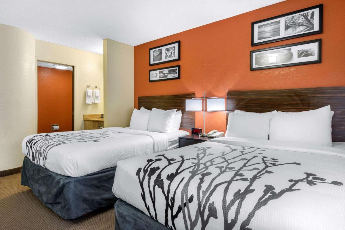 Sleep Inn Sarasota North - image 4
