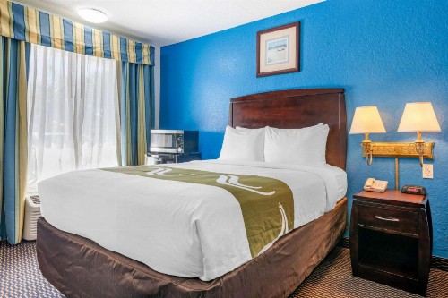 Quality Inn Sarasota North Near Lido Key Beach - image 14