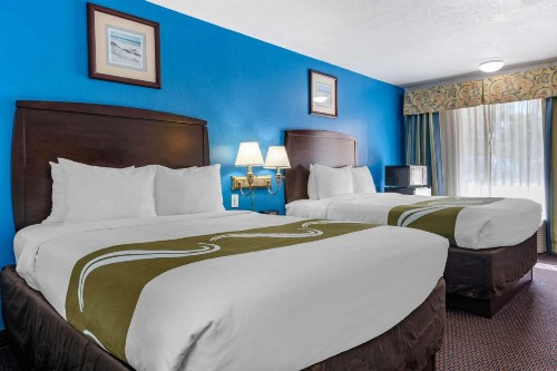 Quality Inn Sarasota North Near Lido Key Beach - image 5