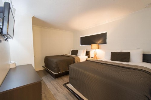 Hibiscus Suites - Sarasota - image 18