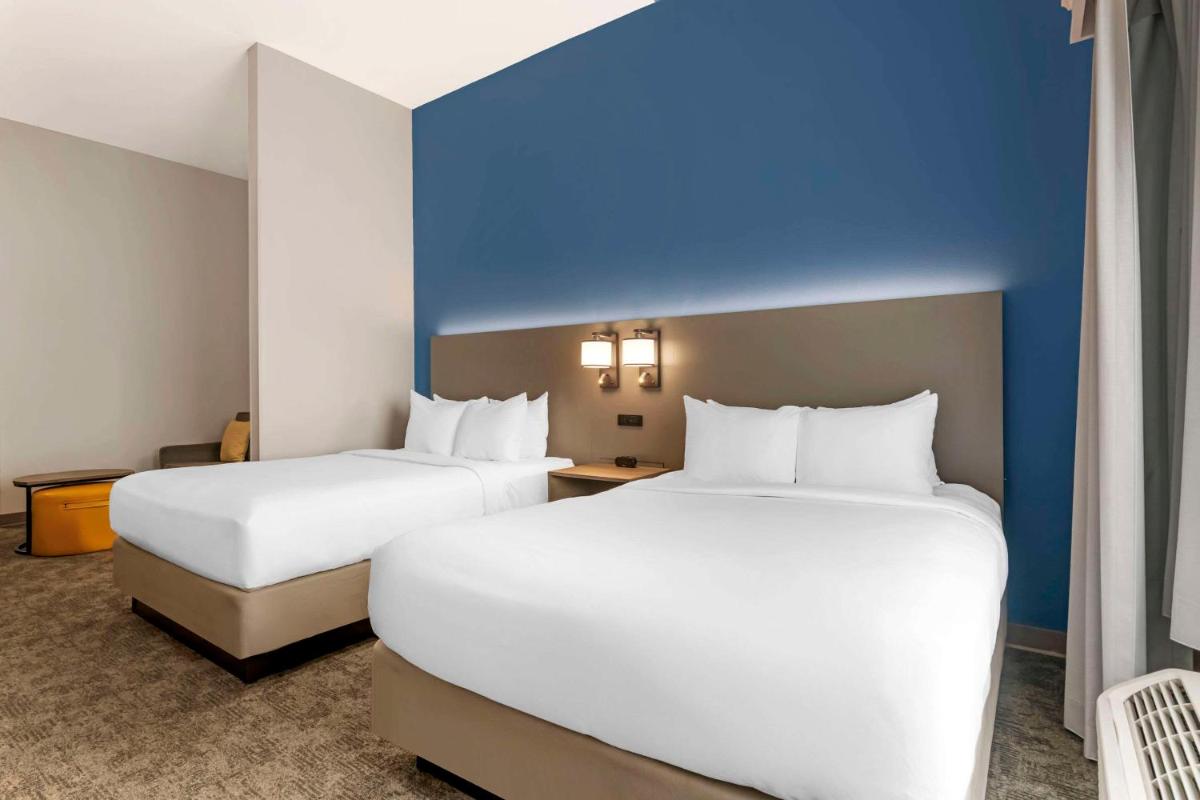 Comfort Suites Sarasota-Siesta Key - image 7