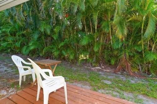Tropical Fruit Garden - image 44