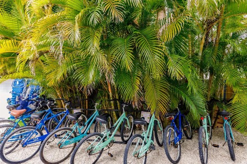 The Inn on Siesta Key - image 14