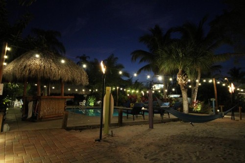 Siesta Key Palms Resort - image 23
