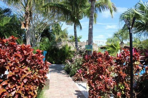 Siesta Key Palms Resort - image 25