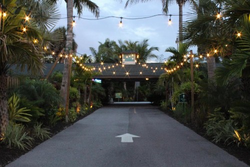 Siesta Key Palms Resort - image 27