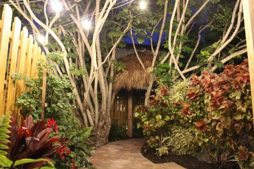 Siesta Key Palms Resort - image 3
