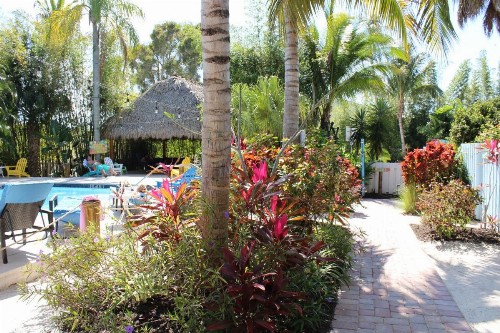 Siesta Key Palms Resort - image 34