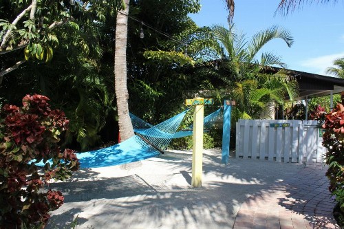 Siesta Key Palms Resort - image 37