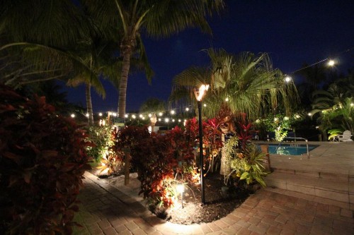 Siesta Key Palms Resort - image 42