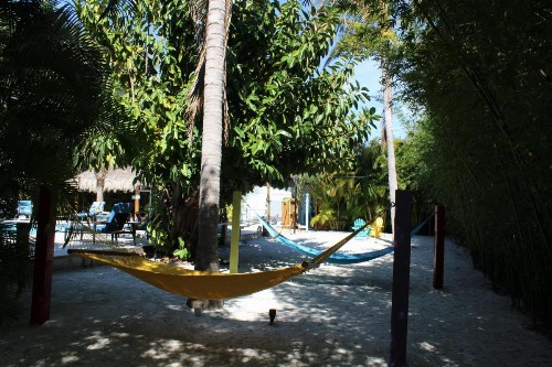 Siesta Key Palms Resort - image 43