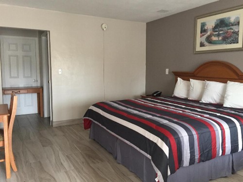Flamingo Inn - image 3