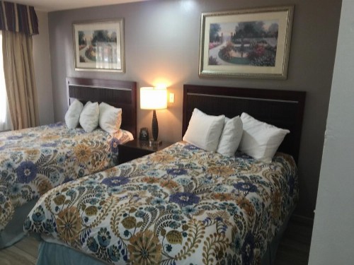 Flamingo Inn - image 4