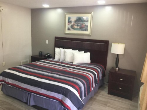 Flamingo Inn - image 9