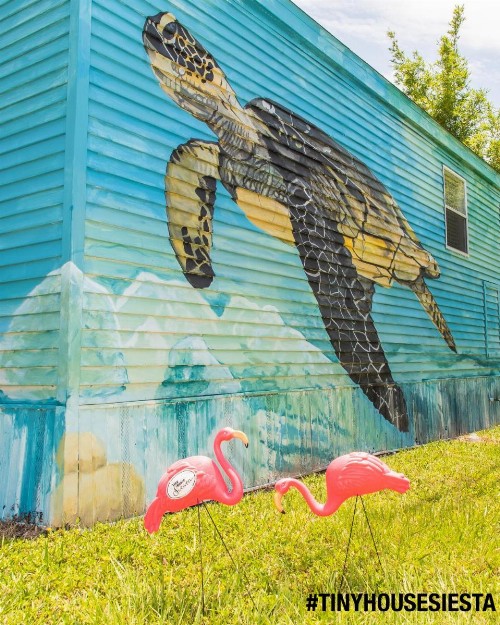 Tiny House Siesta - image 32