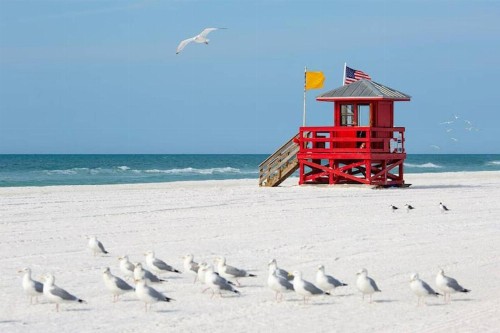 Beachside Bliss of Siesta Key - image 8