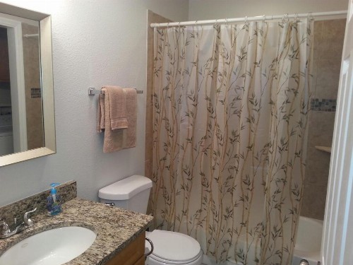 Sunny Florida - image 12