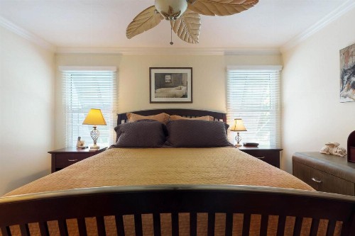 Peppertree Perfection - image 9
