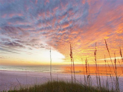 Shell Beach Home 209 - image 5