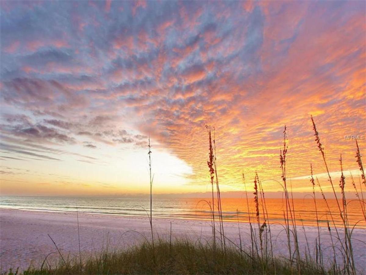 Shell Beach Home 209 - image 5