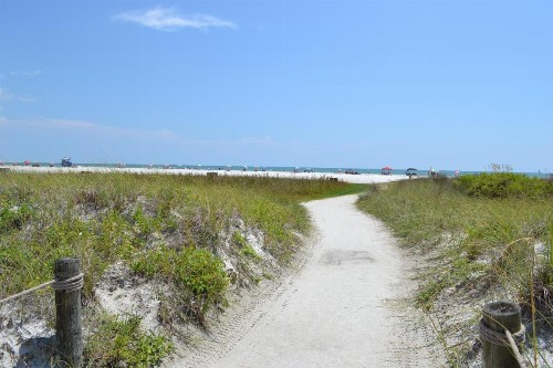 One Ocean - A 1101 - image 32