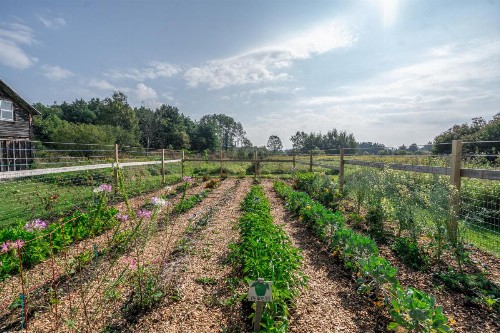 Saratoga Farmstead B&B - image 16