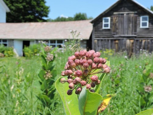 Saratoga Farmstead B&B - image 24