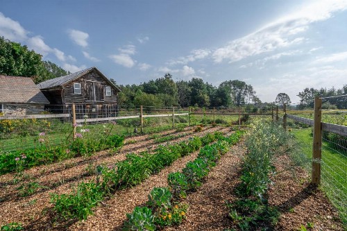 Saratoga Farmstead B&B - image 40