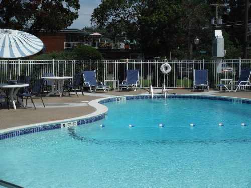 The Springs Motel - image 10
