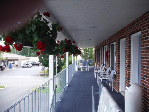 The Springs Motel - image 4